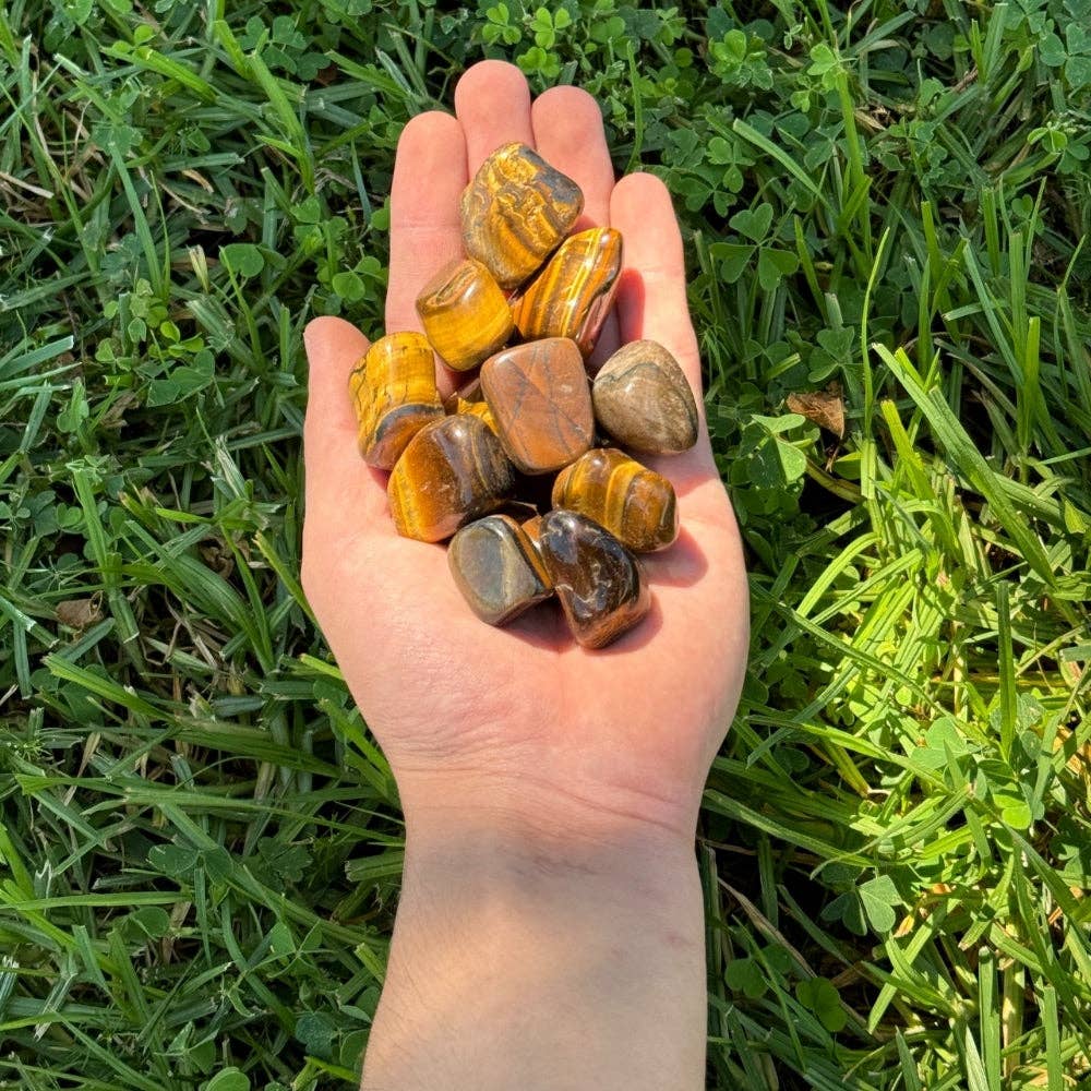 Tumbled Crystal - Tiger's Eye, 2lbs
