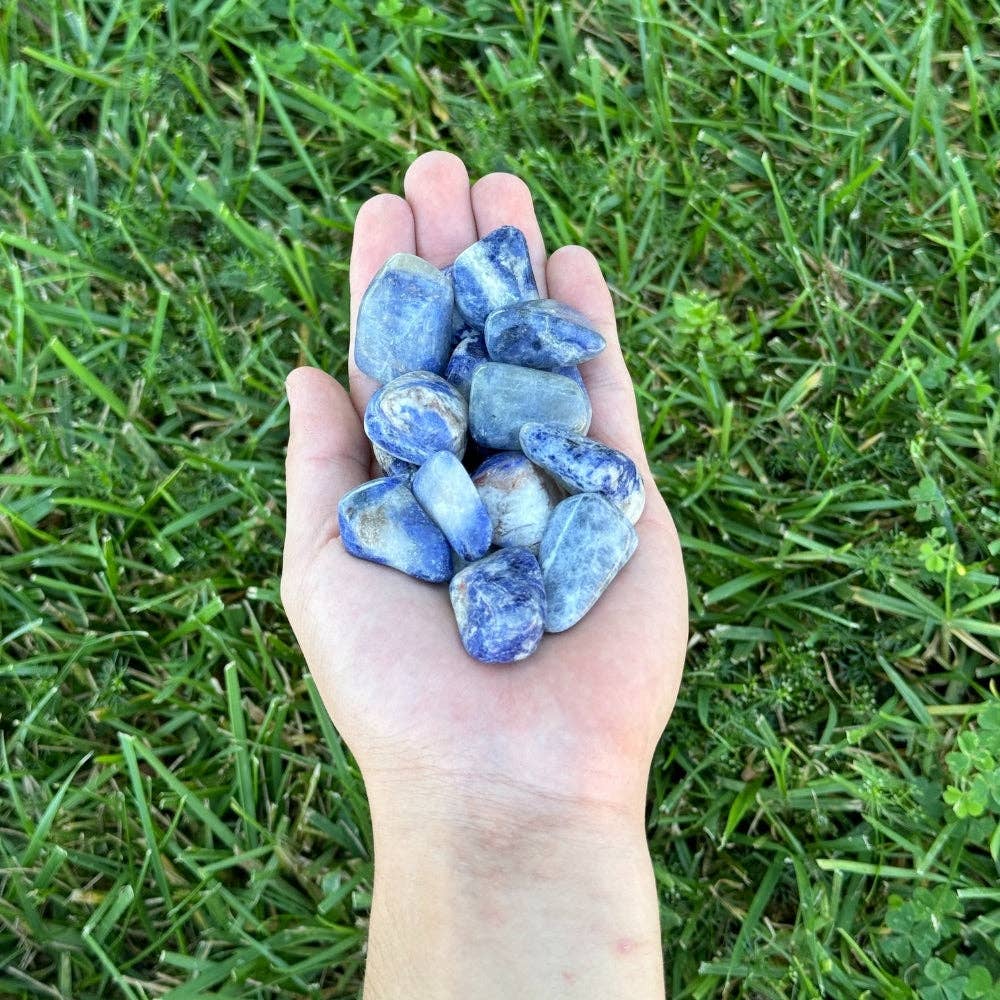 Tumbled Crystal - Sodalite, 2lbs