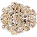 Desert Rose Tumble